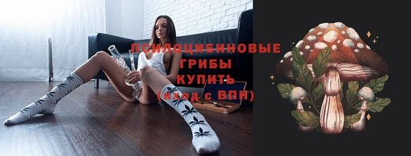 прущие крисы Арсеньев