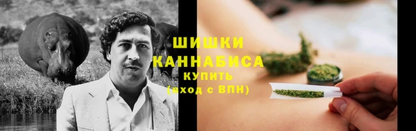 прущие крисы Арсеньев