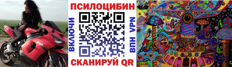 хочу наркоту  Калтан  Галлюциногенные грибы Magic Shrooms 